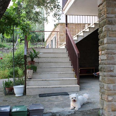 Villa Bella Vista Bolognese Trespiano Exterior foto